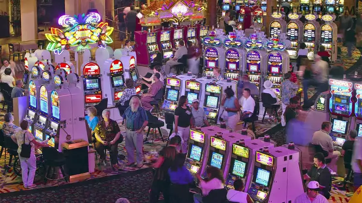 App hotbet slots mobile